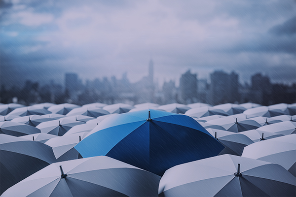 Discover NBS Underwriting: The Leading MGA for Broker Success