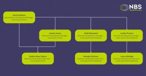 Team structure